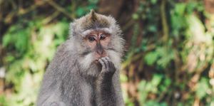 I have an unfortunate announcement