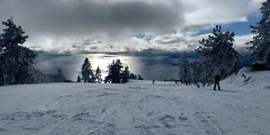 Surrender to the flow